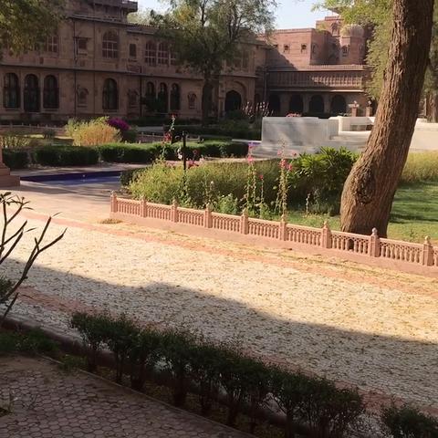 The Lallgarh Palace- A Heritage Hotel - Traveller Photo