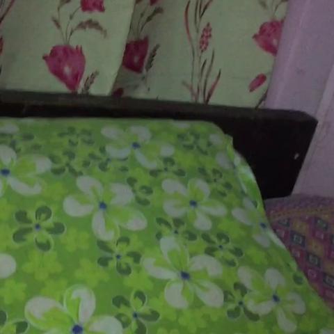 SHREE HARI GUEST HOUSE - Traveller Photo