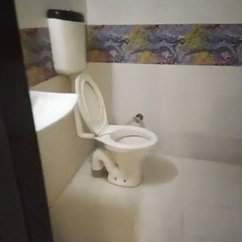 Hotel Sigma - Traveller Photo