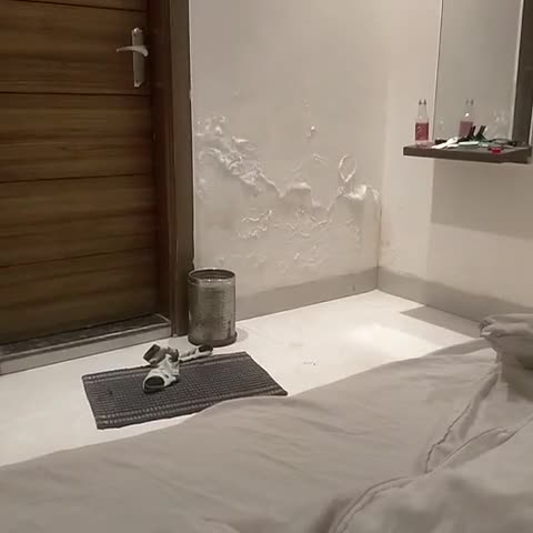 Hotel Ashok Palace - Traveller Photo