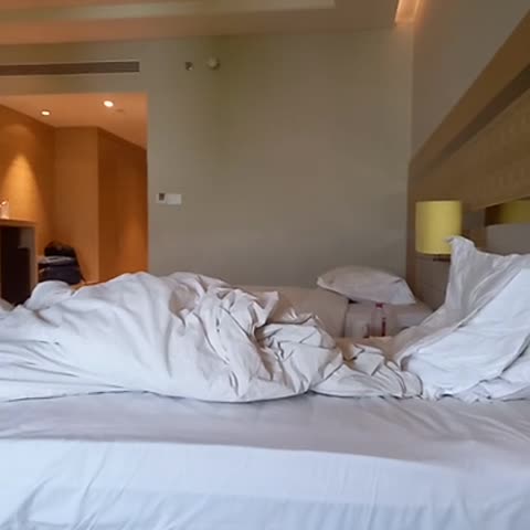 Holiday Inn Agra MG Road - Traveller Photo