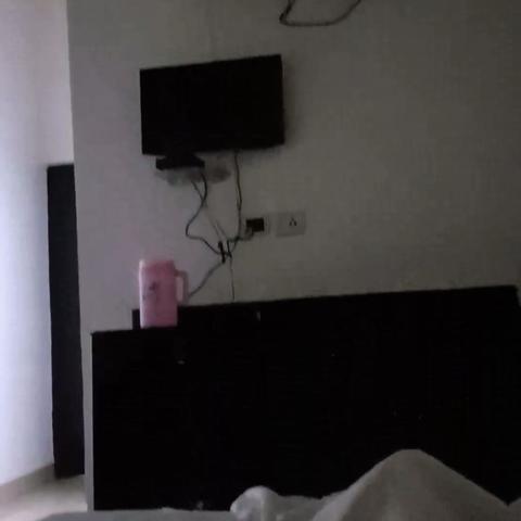 Hotel Shree Inn - Traveller Photo