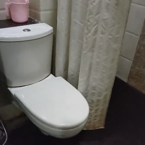 HOTEL MADHUSHRIE - Traveller Photo