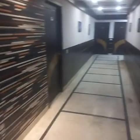 Hotel Riya Palace - Idgah Railway Station Agra - Traveller Photo