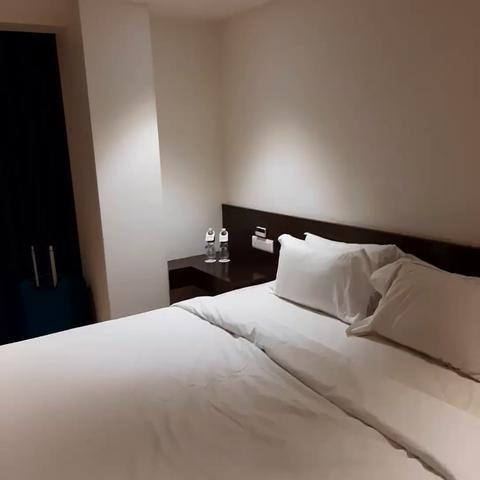 Hotel German Palace, Airport - Traveller Photo