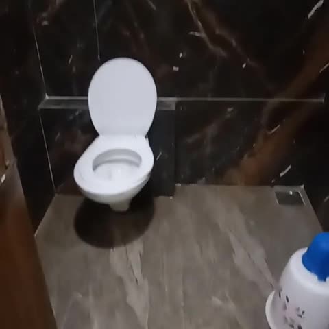 Hotel Shivaay - Traveller Photo