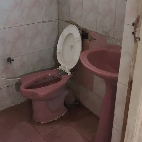 Rajshree Hotel - Traveller Photo