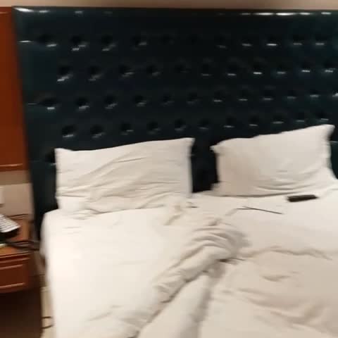 SK Lords Inn Ahmedabad    - Traveller Photo