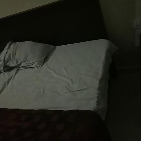 Hotel Ratan Palace - Traveller Photo