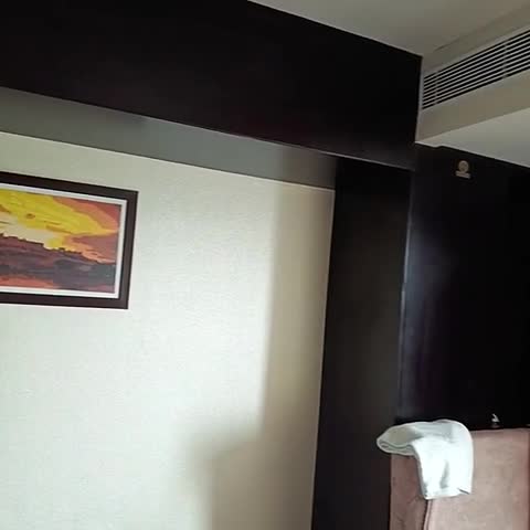 HOTEL VIVAN PINNACLE - Traveller Photo