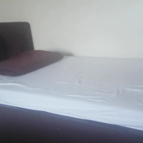 V EXECUTIVE HOTEL - Traveller Photo