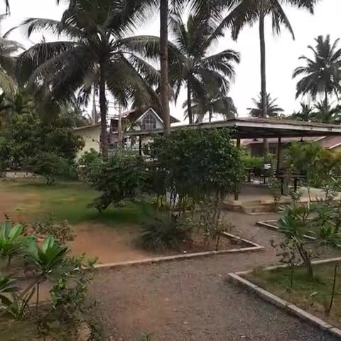 Kapil's Beach Resort - Traveller Photo