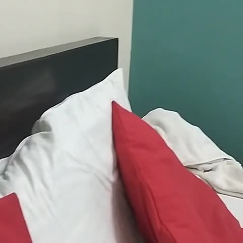 Hotel Maharaja Palace - 10 MTR from Railway station - Traveller Photo