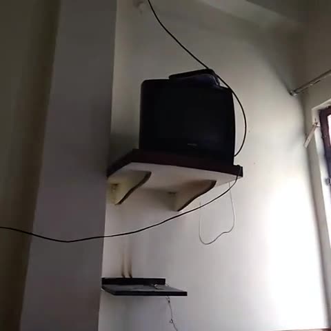Hotel Shree - Traveller Photo