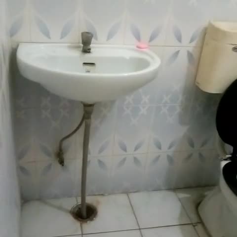 Hotel Natraj - Traveller Photo