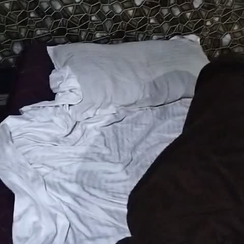 Hotel O Heaven - Traveller Photo
