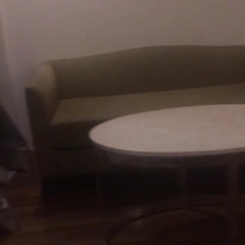 Holiday Inn Amritsar, An IHG Hotel - Traveller Photo