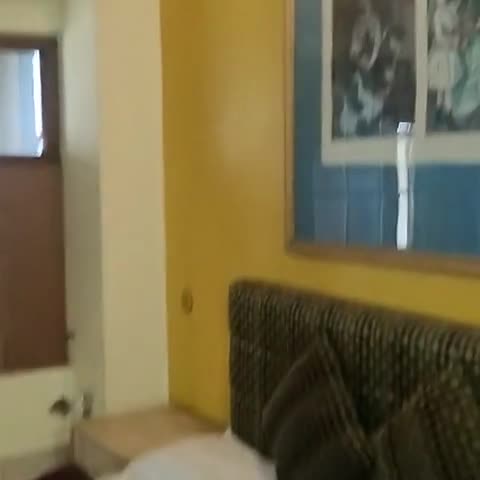 Hotel Airlines - Traveller Photo