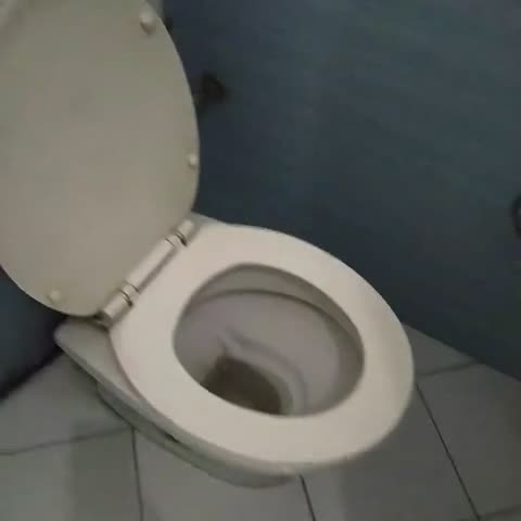 HOTEL HILROZ - Traveller Photo