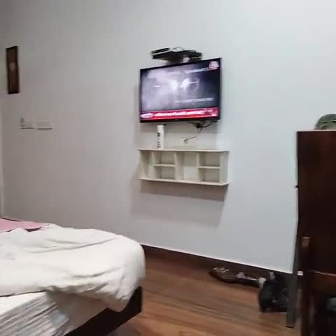 Hotel Orbion Mall Road - Traveller Photo