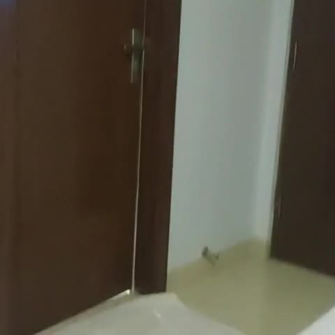 Vacation Inn - Traveller Photo