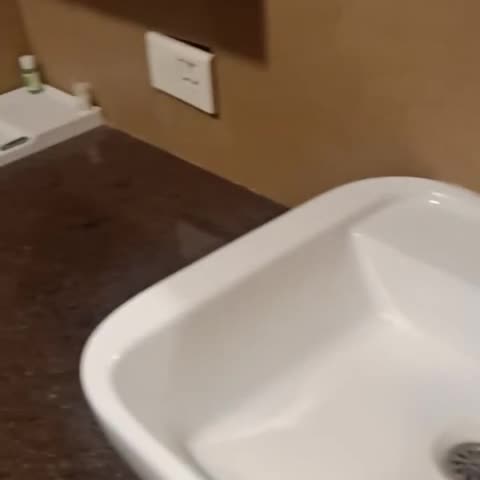 Viz Park Hotel - Traveller Photo