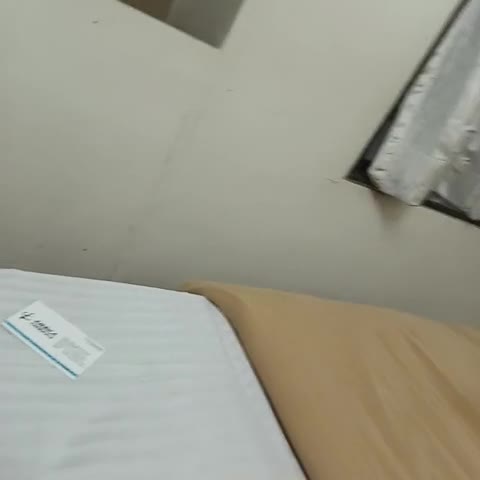 HOTEL APEX - Traveller Photo