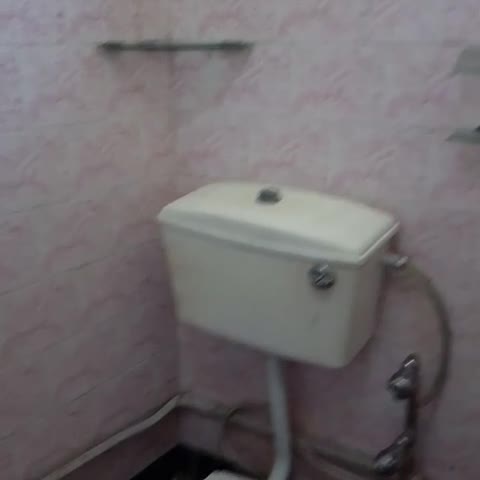 Hotel Dolphin - Traveller Photo