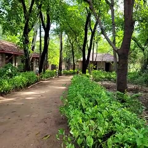 Tiger Trails Resort - Traveller Photo