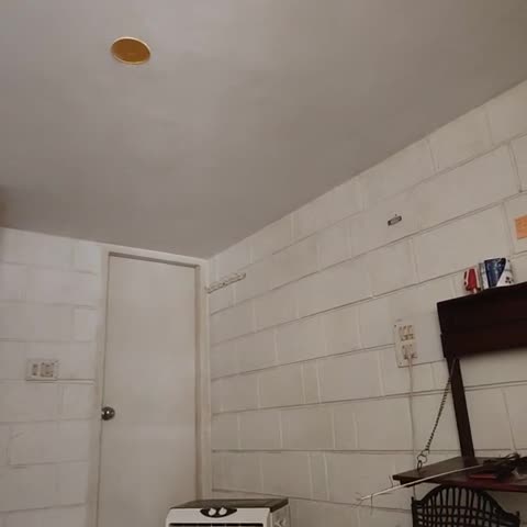 Cuckoo Hostel | Dorms & Wi-Fi - Traveller Photo