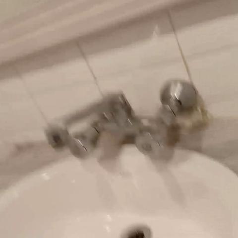 Hotel Maurya  - Traveller Photo