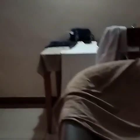 Hotel Chetan International - Traveller Photo