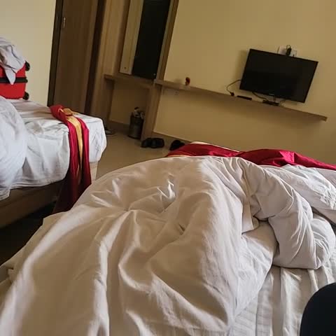 HOTEL GREEN TREE - Traveller Photo