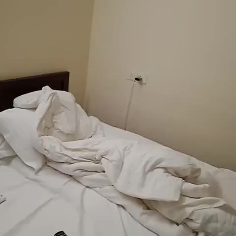 Hotel Sai Manyata Inn - Traveller Photo