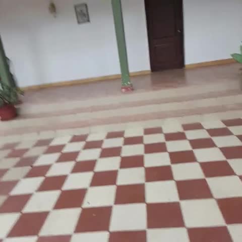 Jayamahal Palace - Traveller Photo