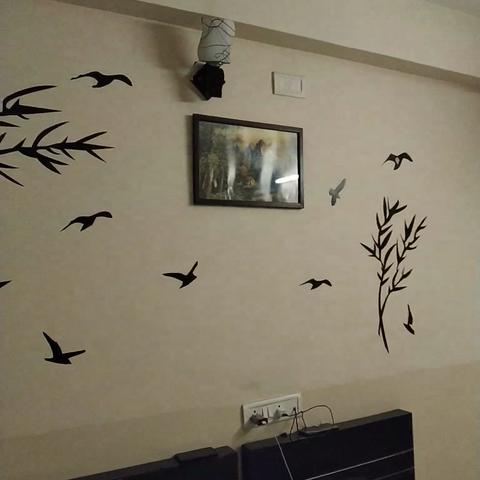 Collection O Tiara Near Christ university - Traveller Photo