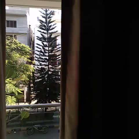 Temple Tree Hotel - Wilson Garden - Traveller Photo