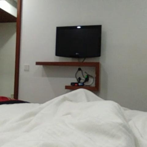The Royal Comfort - Traveller Photo