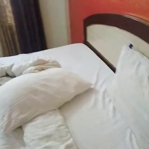 Hotel Sapphire - Traveller Photo