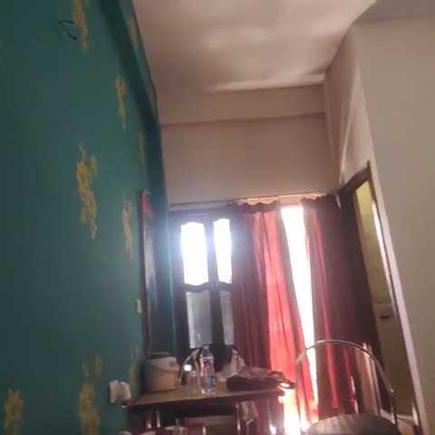 Hotel Maharaja - Traveller Photo