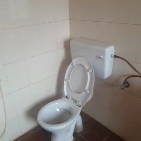 Shri sagar Hotel - Traveller Photo
