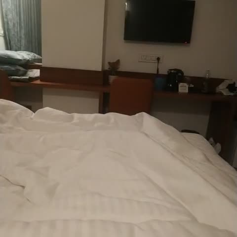 The Urban Hive Hotel - Traveller Photo
