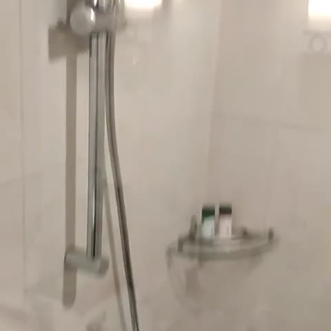 Fortune Park JP Celestial, Bengaluru - Member ITC Hotels' Group - Traveller Photo