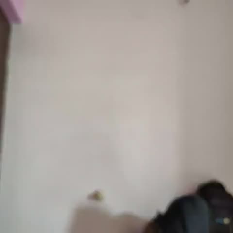 Hotel O Manu Residency - Traveller Photo
