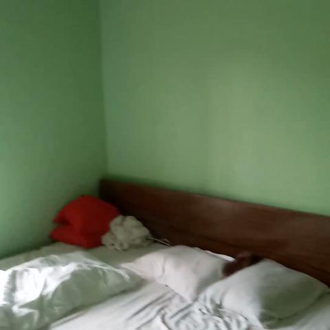 Hotel O Taj International - Traveller Photo