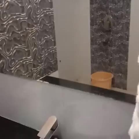 Hotel Ashoka Grand - Traveller Photo