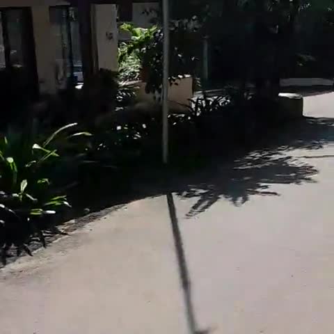 YASH RESORT - Traveller Photo