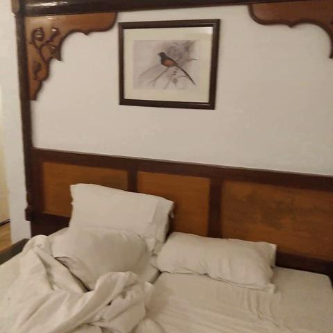 Hotel Sunbird | Rooms & Restaurant - Traveller Photo
