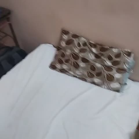 Asopalav Hotel - Traveller Photo