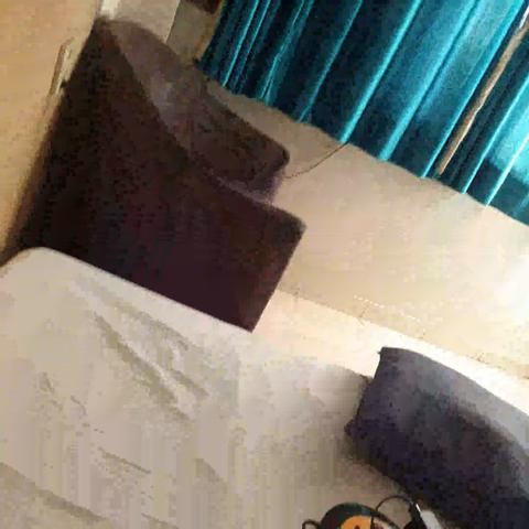 Hotel Mausam - Traveller Photo